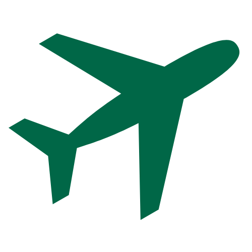 plane icon