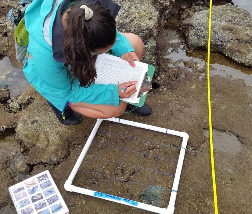 Field work in the Galpagos Islands