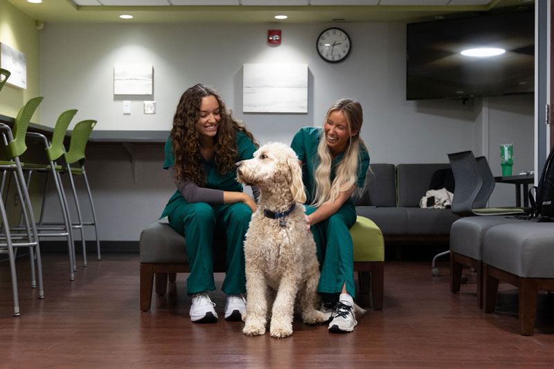 left to right) Maddie McManigal '24 and Alexis Barry '24 give well-deserved pets to Smokey, IWU's pet therapy dog.