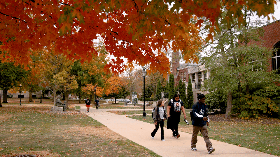 students walking on quad with fall foliage