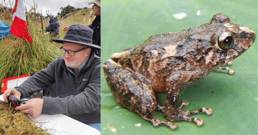 Professor of Biology Edgar Lehr researching new species in Peru, with photo of new frog discovery