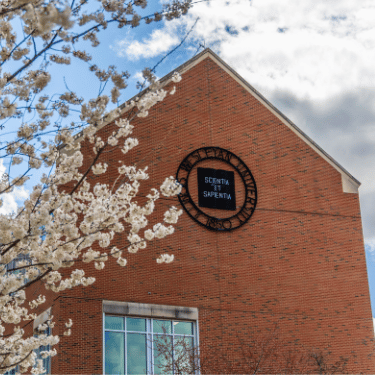 Flowering tree in front of state farm hall at IWU